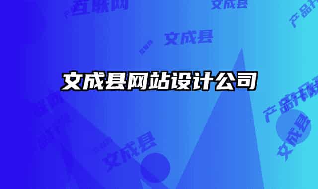 文成县网站设计公司