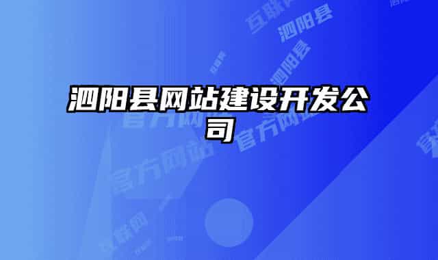 泗阳县网站建设开发公司