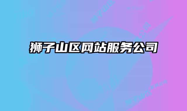 狮子山区网站服务公司