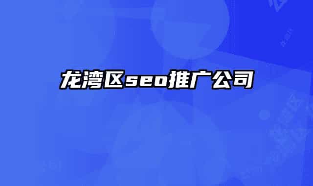 龙湾区seo推广公司
