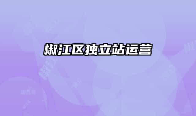 椒江区独立站运营