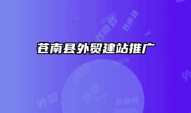苍南县外贸建站推广