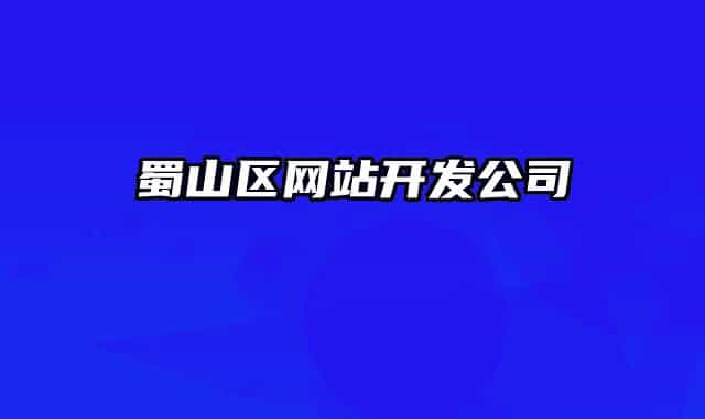 蜀山区网站开发公司