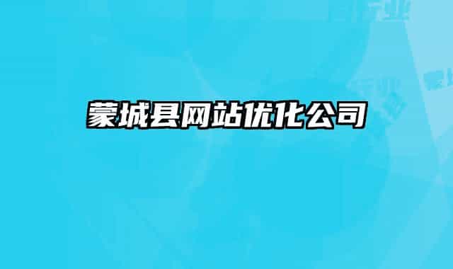 蒙城县网站优化公司
