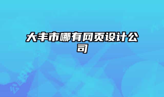 大丰市哪有网页设计公司