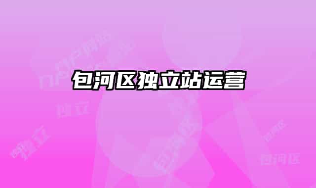 包河区独立站运营