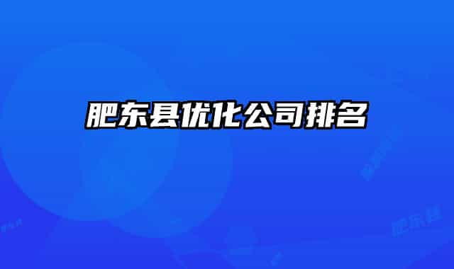 肥东县优化公司排名