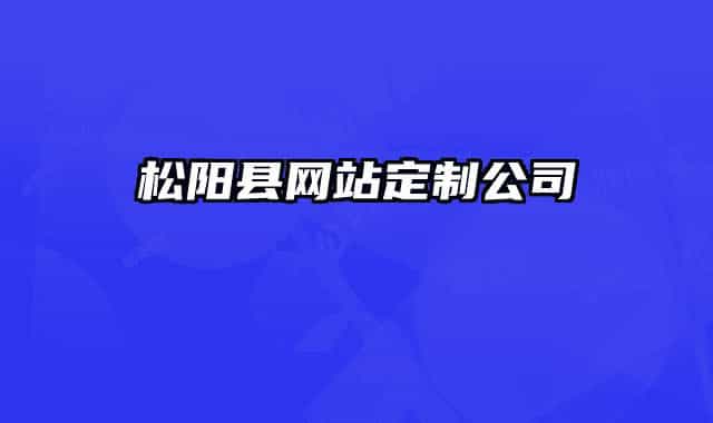 松阳县网站定制公司