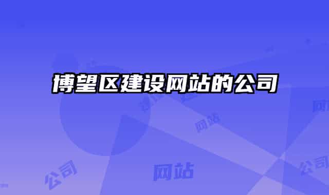 博望区建设网站的公司