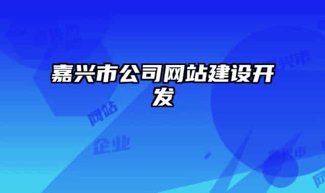 嘉兴市公司网站建设开发
