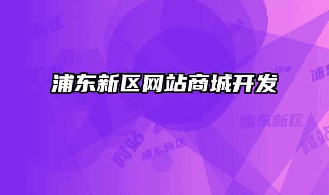 浦东新区网站商城开发