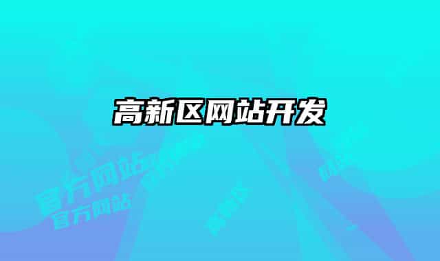 高新区网站开发