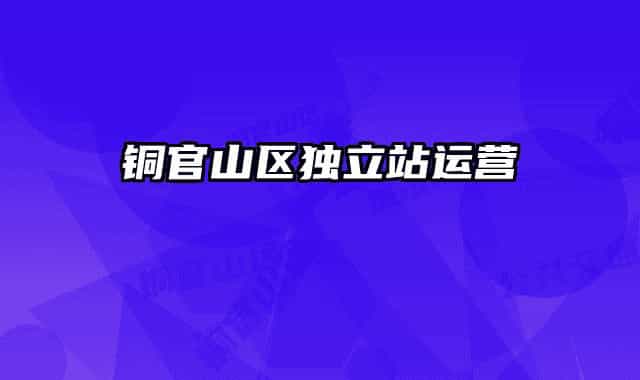 铜官山区独立站运营