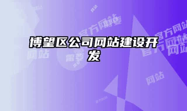 博望区公司网站建设开发
