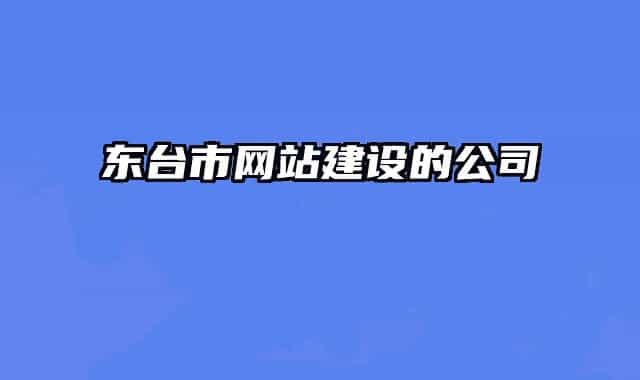 东台市网站建设的公司
