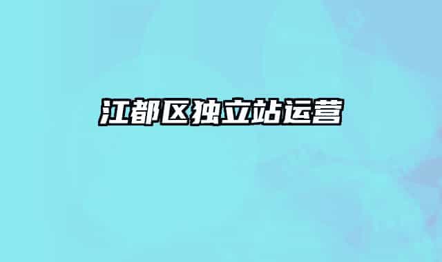 江都区独立站运营