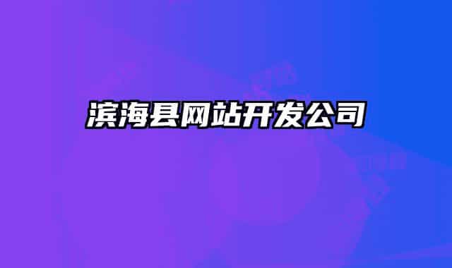 滨海县网站开发公司