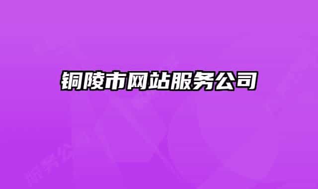 铜陵市网站服务公司
