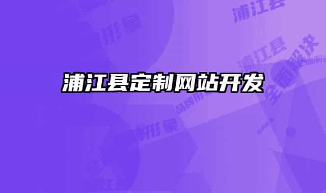 浦江县定制网站开发