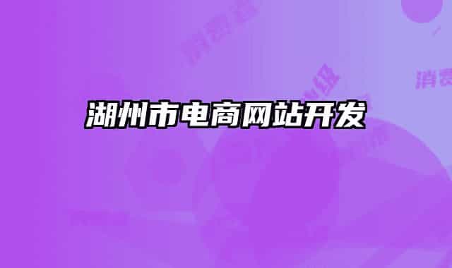 湖州市电商网站开发