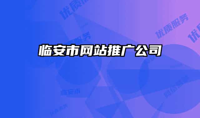 临安市网站推广公司