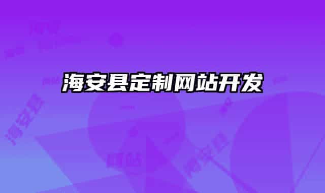 海安县定制网站开发