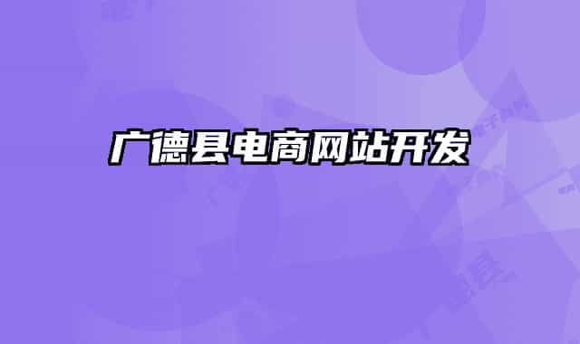 广德县电商网站开发