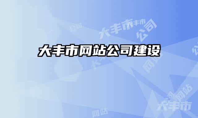 大丰市网站公司建设
