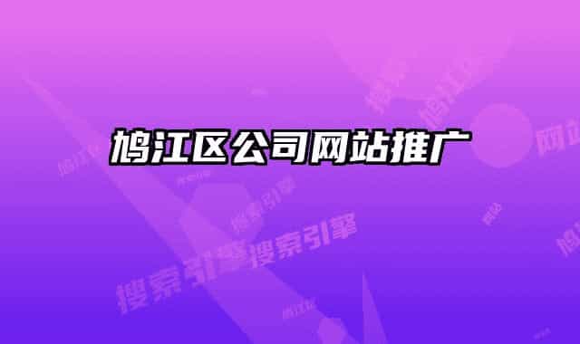 鸠江区公司网站推广