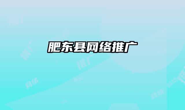 肥东县网络推广