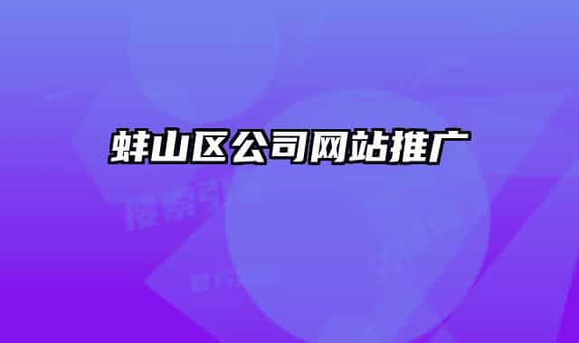 蚌山区公司网站推广