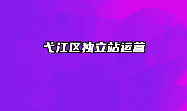 弋江区独立站运营