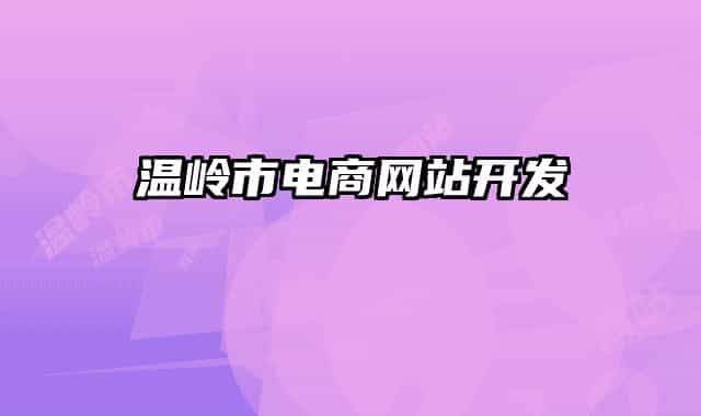 温岭市电商网站开发