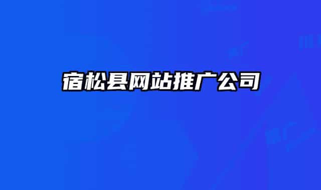 宿松县网站推广公司