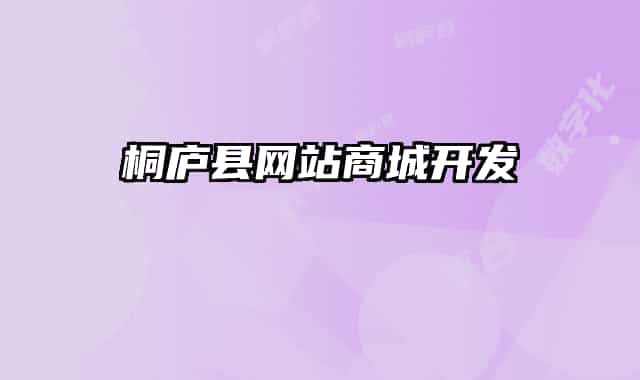桐庐县网站商城开发