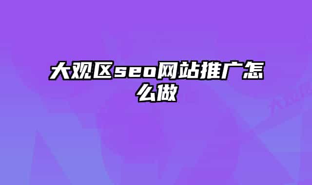 大观区seo网站推广怎么做