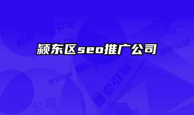 颍东区seo推广公司