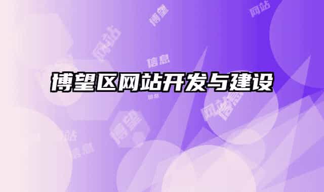 博望区网站开发与建设