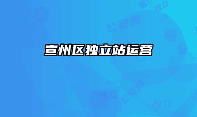 宣州区独立站运营