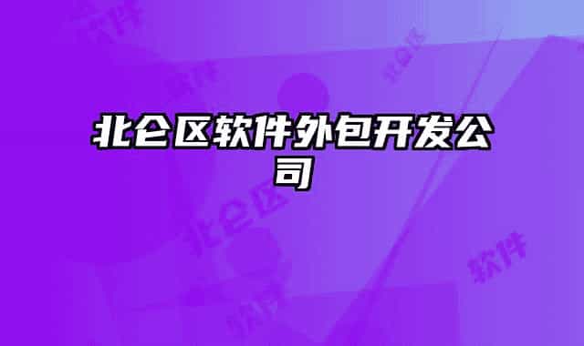 北仑区软件外包开发公司