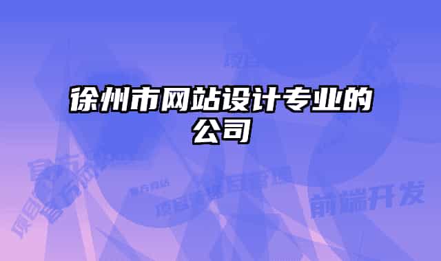 徐州市网站设计专业的公司