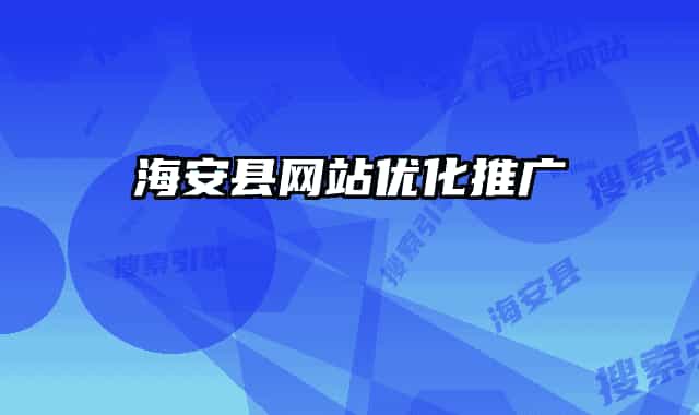 海安县网站优化推广
