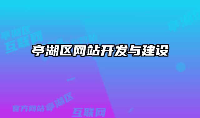 亭湖区网站开发与建设