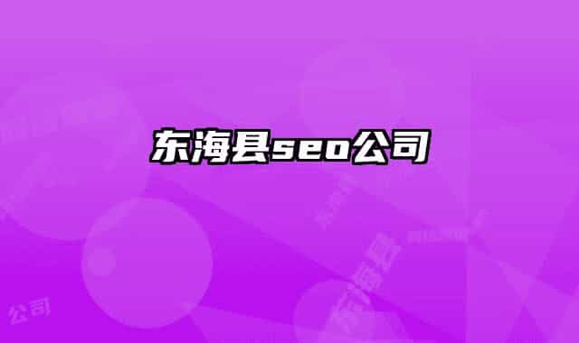 东海县seo公司