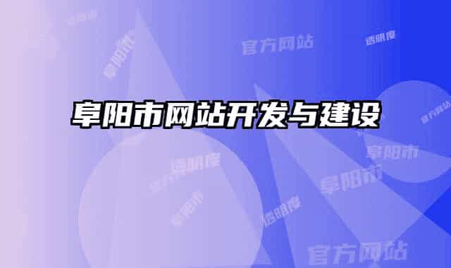 阜阳市网站开发与建设