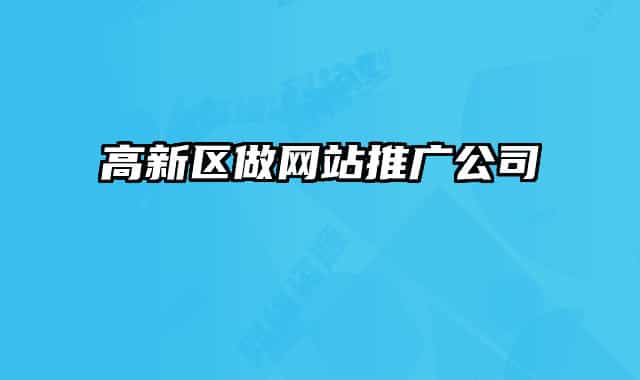 高新区做网站推广公司