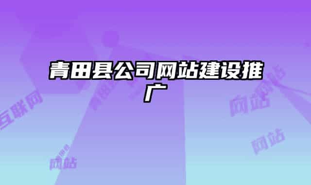 青田县公司网站建设推广
