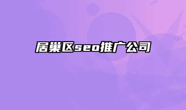 居巢区seo推广公司