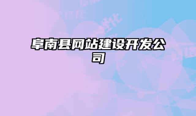阜南县网站建设开发公司