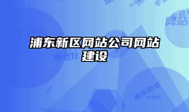 浦东新区网站公司网站建设
